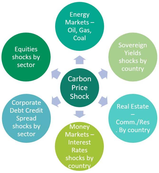 Carbon Price Shock