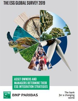 ESG Global Survey 2019