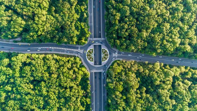Time lapse aerial view looking down on traffic circle in the middle of a beautiful forest. The scene is situated in Sofia, the capital city of Bulgaria (Eastern Europe). The picture is taken with DJI Phantom 4 Pro video drone.