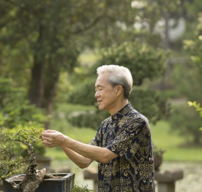 Senior man tending to Bonsai tree in garden