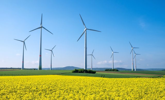 Windmills - Sustainability & Biodiversity