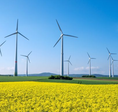 Windmills - Sustainability & Biodiversity