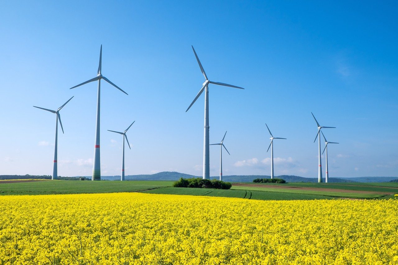 Windmills - Sustainability & Biodiversity