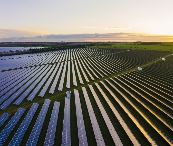 Abstract aerialdrone view over a field of solar panels at sunrise